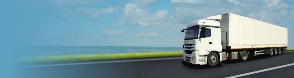 Shipping and Delivery Policy